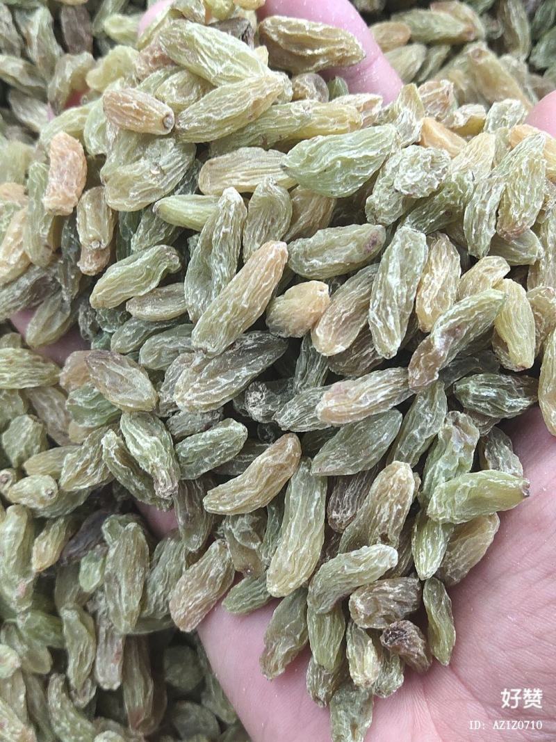 葡萄干产地直发绿宝石，树上黄绿葡萄干，