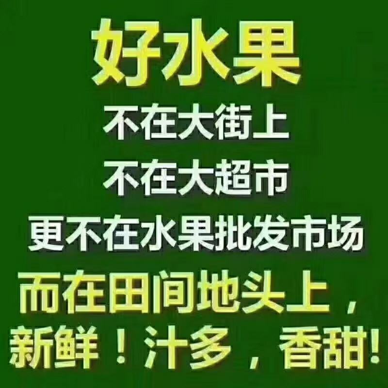 需要大果的可以快递