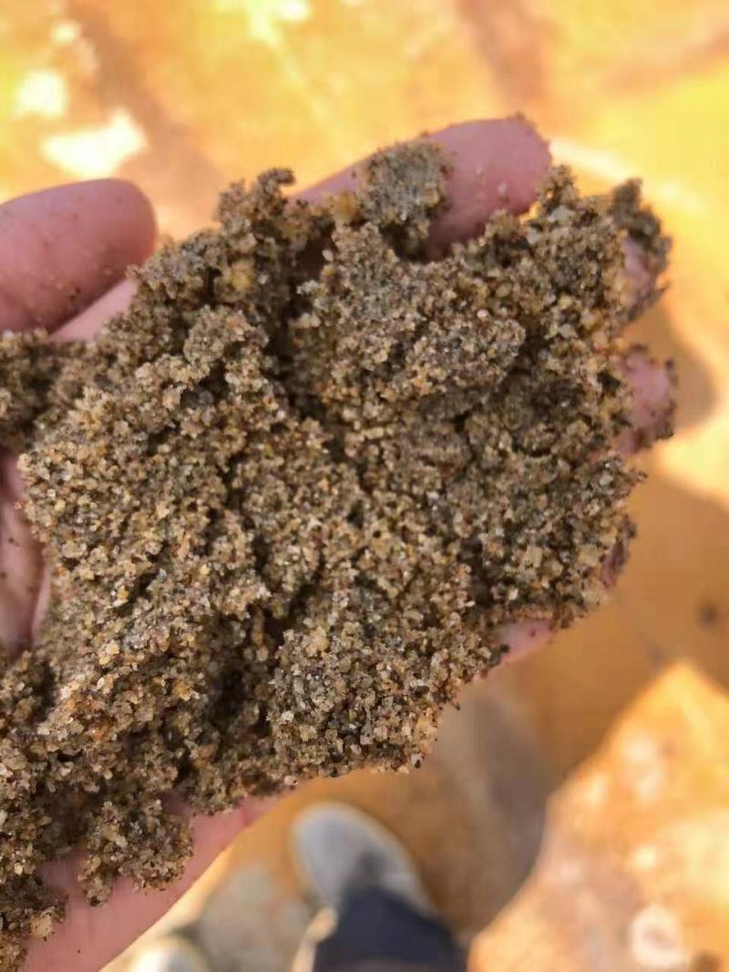 马来西亚的2.2～2.8河沙和巴西白糖45号一级。