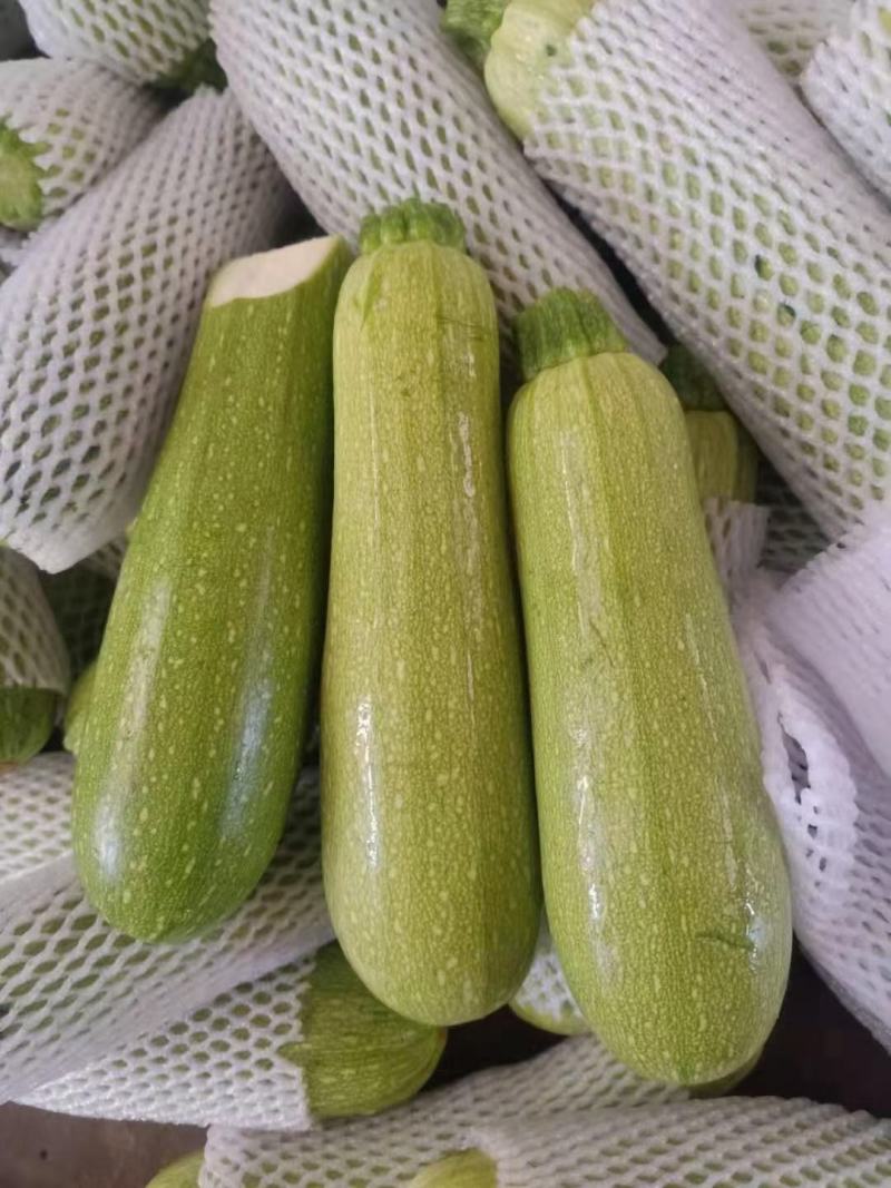 西葫芦泡沫箱装精品绿皮精品西葫芦大量上市