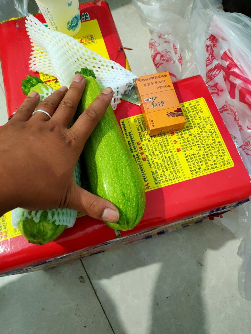 西葫芦泡沫箱装精品绿皮精品西葫芦大量上市