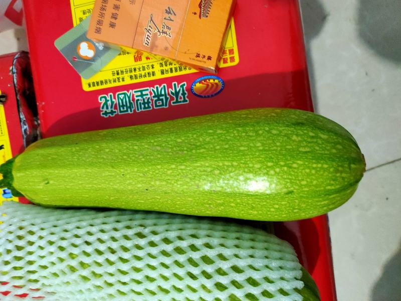 西葫芦泡沫箱装精品绿皮精品西葫芦大量上市