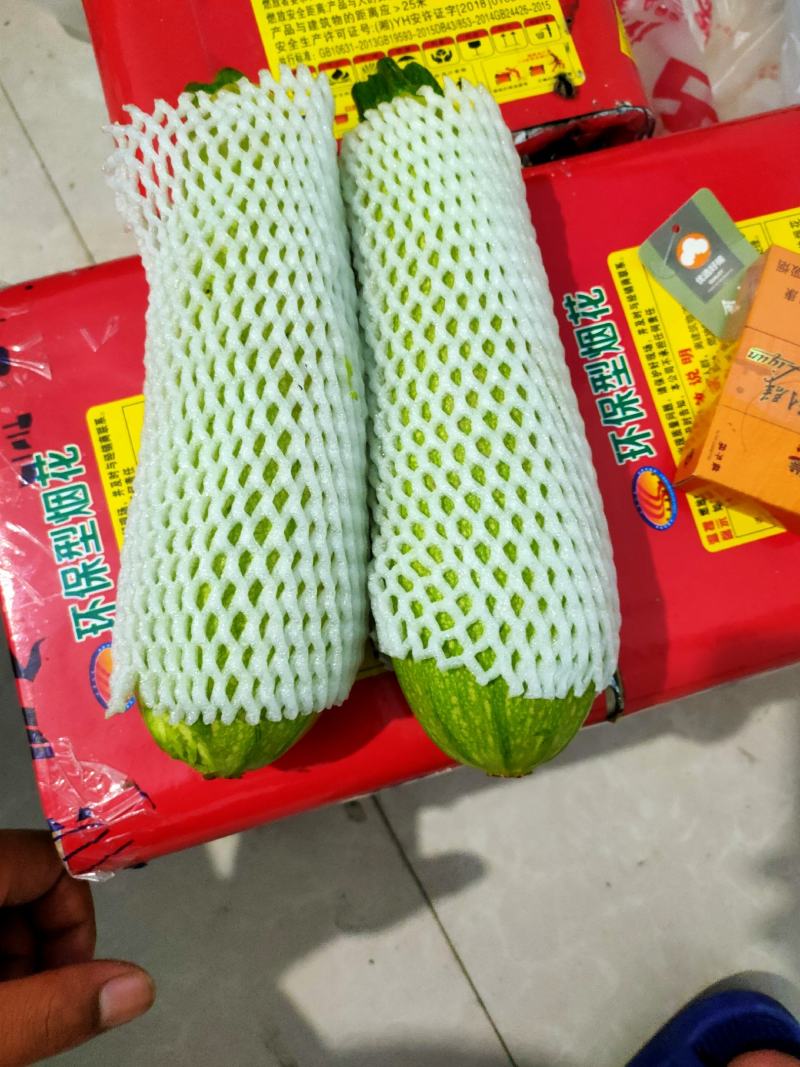 西葫芦泡沫箱装精品绿皮精品西葫芦大量上市