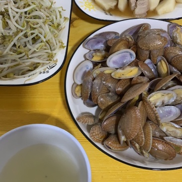 福建油甲花甲油壳好质量源头价