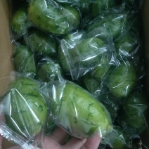 海南香水柠檬批发零售！产地直发！大量供应！