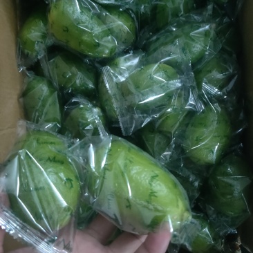 海南香水柠檬批发零售！产地直发！大量供应！