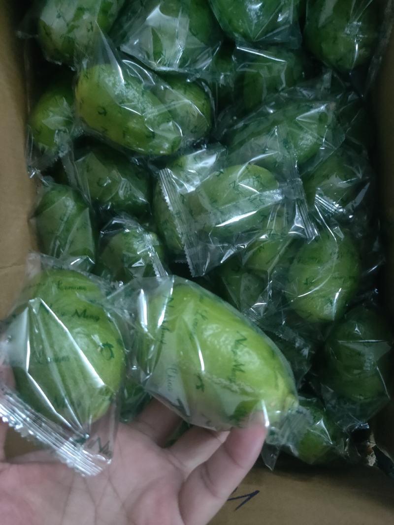 海南香水柠檬批发零售！产地直发！大量供应！