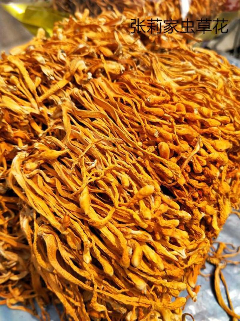 虫草花北虫草产地干货一斤精装食用菌一件代发