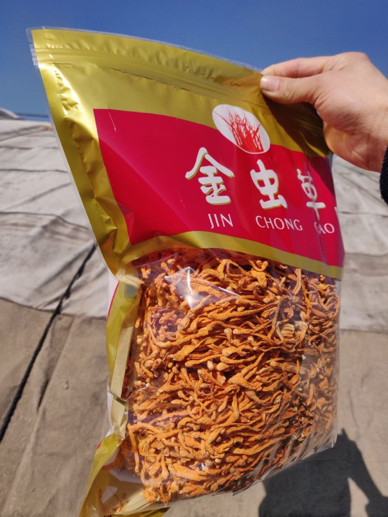 虫草花北虫草产地干货一斤精装食用菌一件代发
