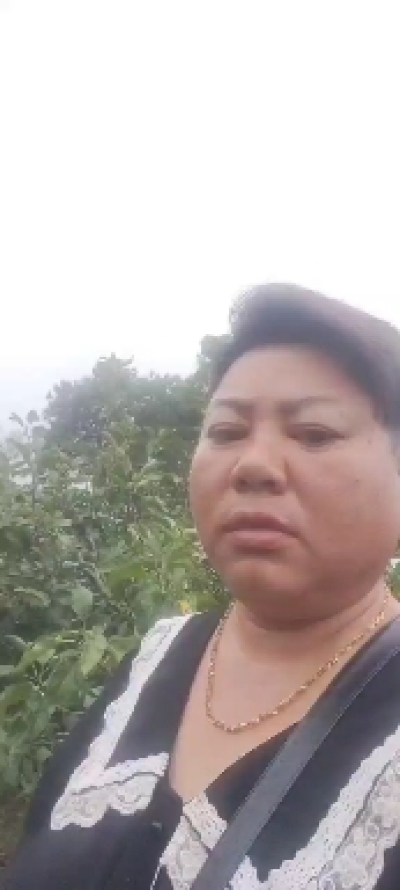 美八苹果