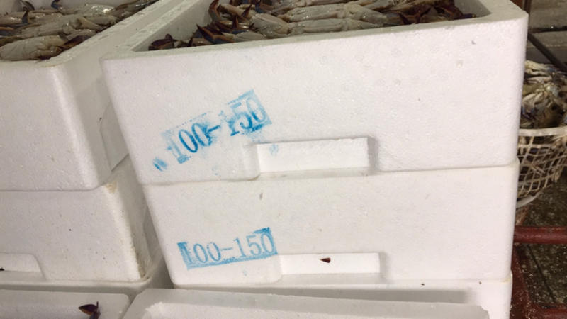 梭子蟹速冻梭子蟹鲜活速冻一件净重6.5斤各种规格