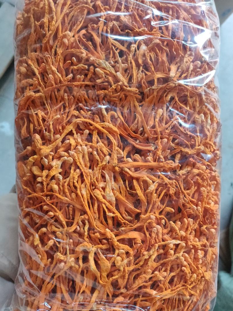 虫草花食用菌烘干新货北虫草2斤实惠装包邮