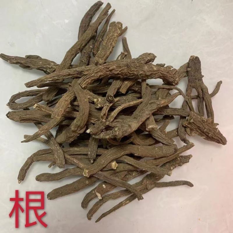 一枝蒿一枝蒿一枝蒿根无硫熏无杂质中药材