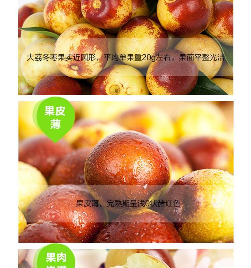 大荔冬枣承接各大平台订单，可整车发货，欢迎对接