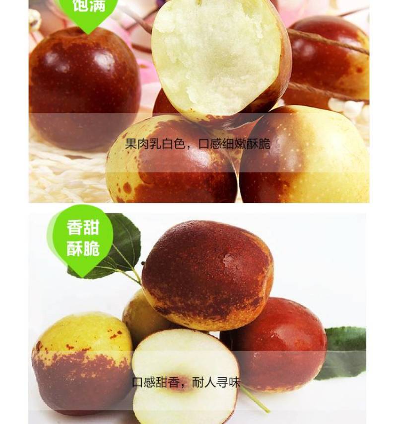 大荔冬枣承接各大平台订单，可整车发货，欢迎对接