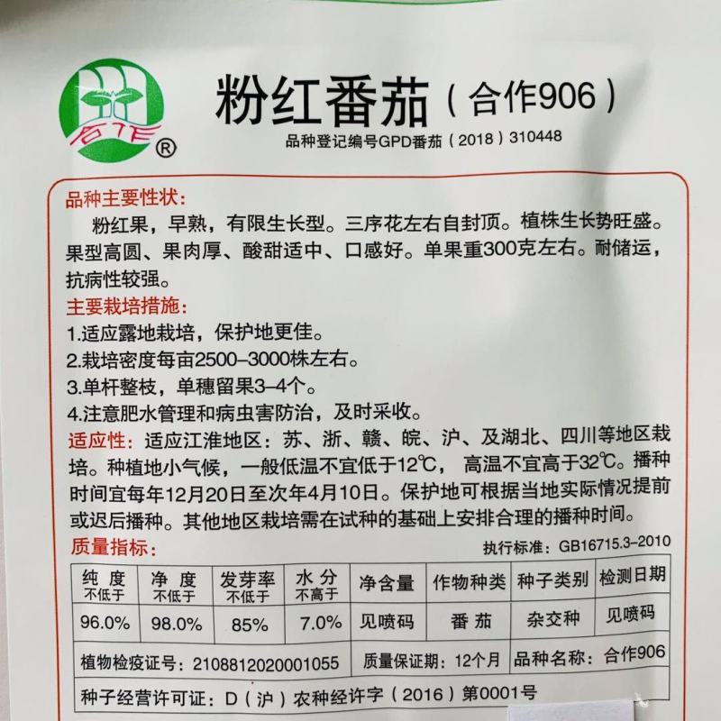 上海合作906粉红番茄种子早熟西红柿种子本地粉番茄自封顶