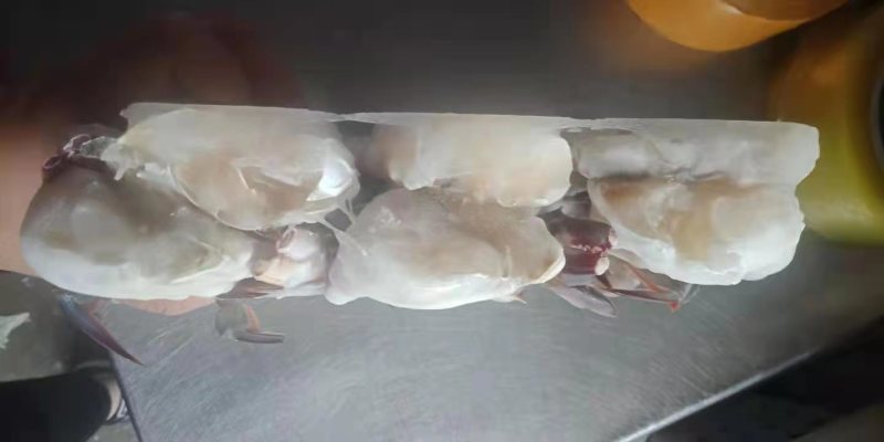 梭子蟹，速冻