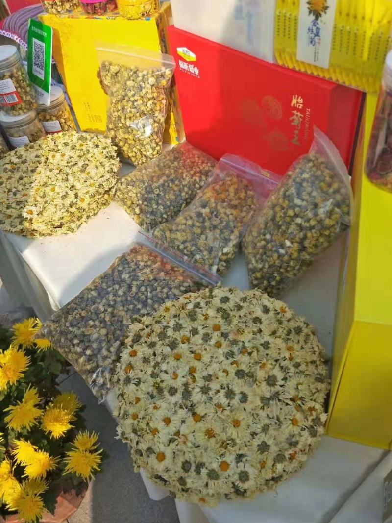 【饼菊】福白菊麻城福田河镇出产地药用菊花饼菊