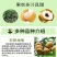 大量出售龙眼树苗嫁接石峡龙眼苗四季龙眼苗