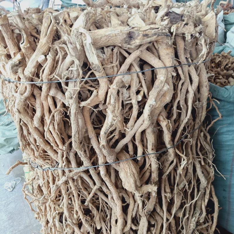 中藥材批發貨源充足，质量保證有大量貨源黄花倒水莲