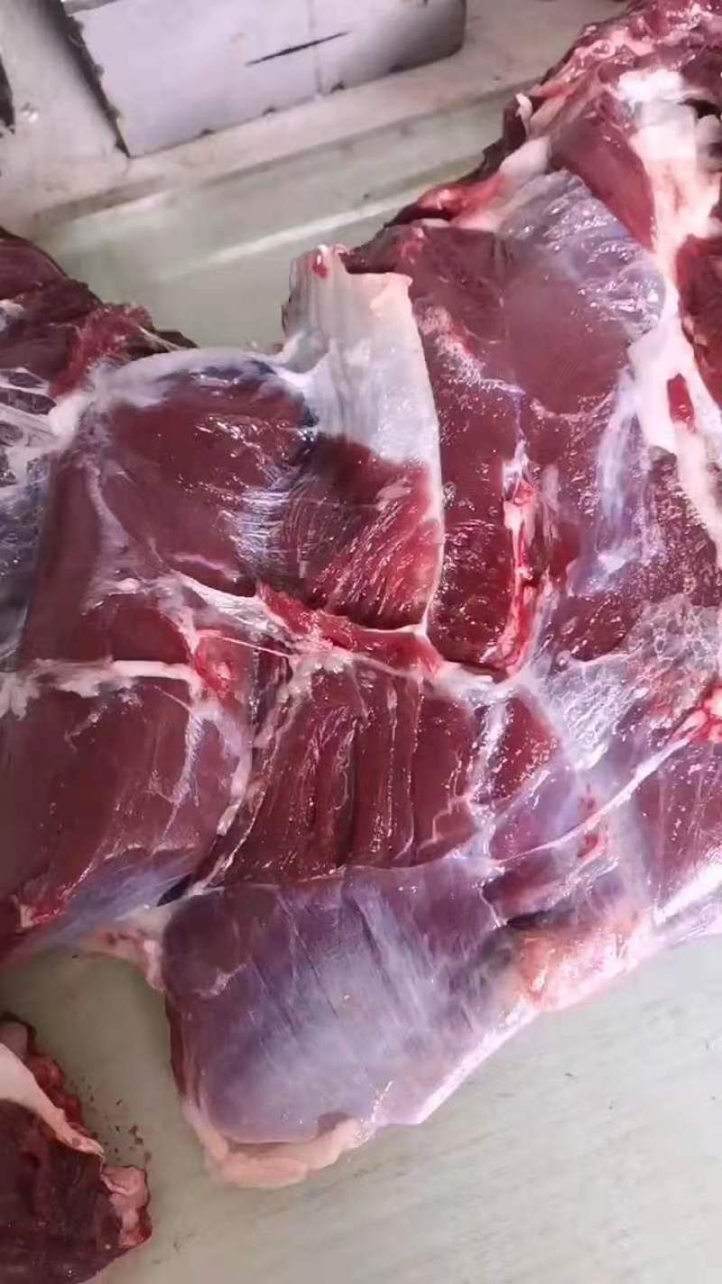 梅花鹿新鲜宰杀鹿肉，鹿腿肉，排骨及鹿骨