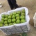 优质湖北襄阳金秋梨,晚秋梨元黄梨产地直销量大价优