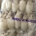 墨鱼仔去皮去内脏墨鱼仔火锅食材目鱼仔章鱼仔
