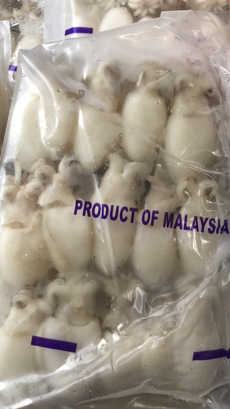 墨鱼仔去皮去内脏墨鱼仔火锅食材目鱼仔章鱼仔