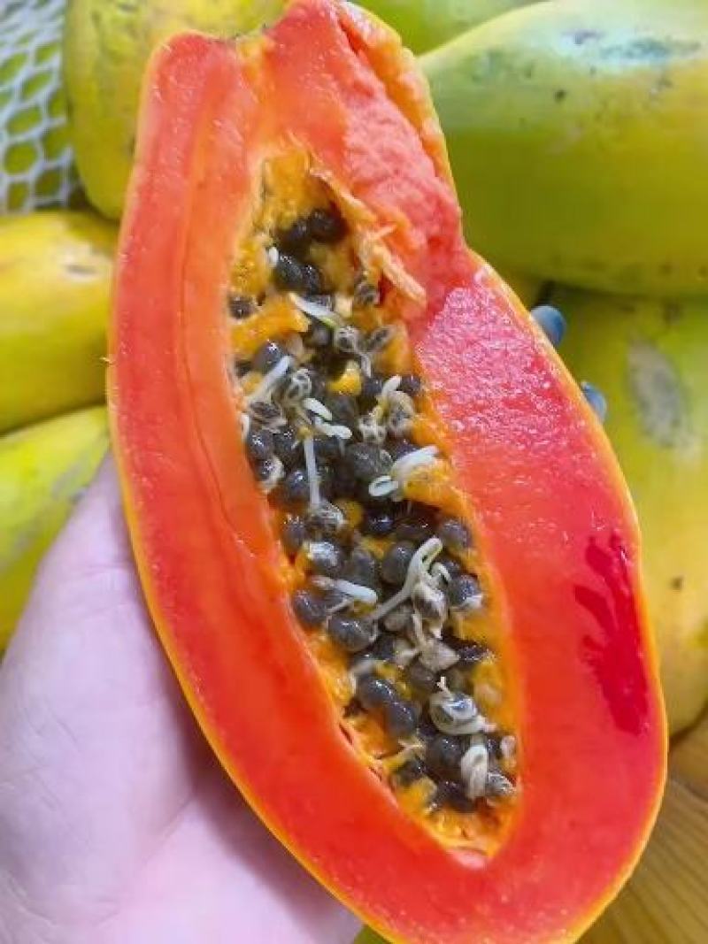 冰糖红心木瓜茂名新鲜当季热带水果冰糖大青木瓜
