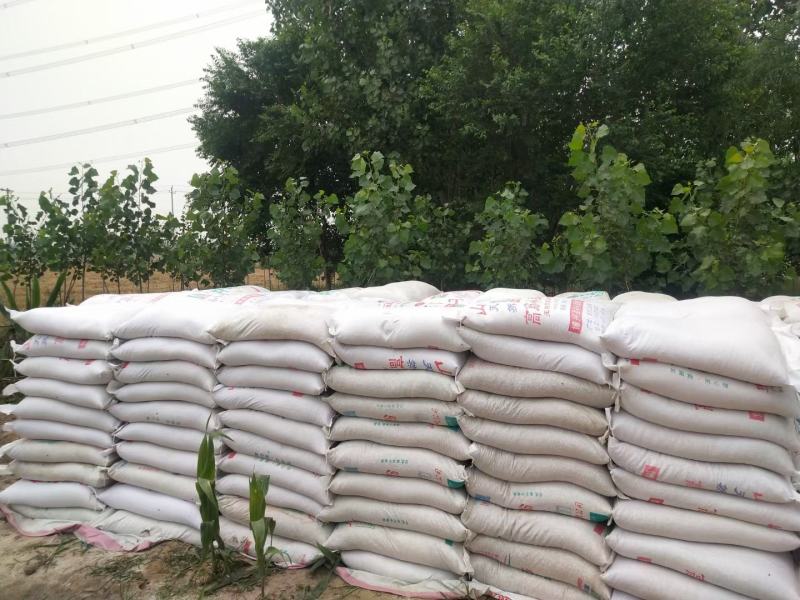 优质水洗贝壳粉适合养殖使用质量保证本公司常年出售