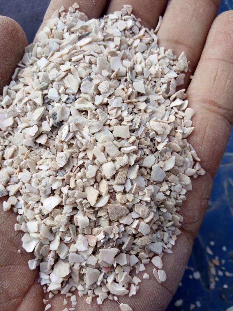 优质水洗贝壳粉适合养殖使用质量保证本公司常年出售