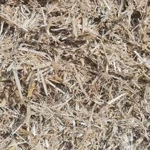 小麦秸秆优质二次粉碎小麦秸秆无土无沙