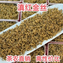 云南滇红茶2023新茶云南古树红茶特级大金针蜜香凤庆