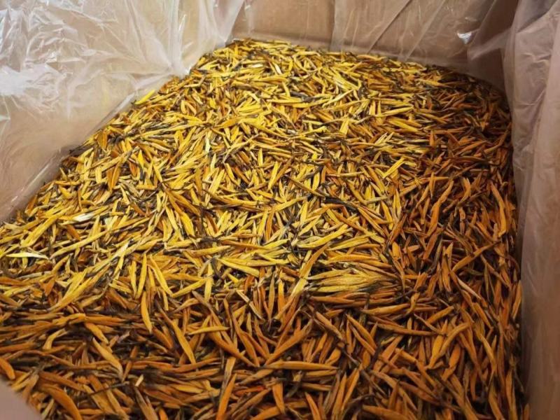 云南滇红茶2023新茶云南古树红茶特级大金针蜜香凤庆