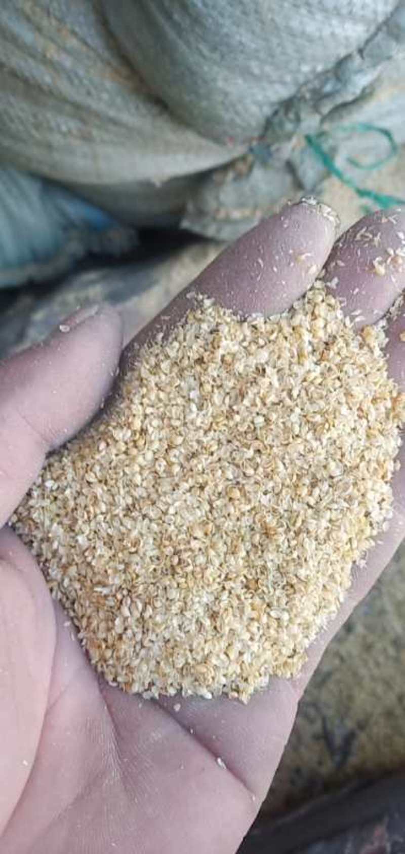 饲料小米糠填充小米壳干净无土无沙本公司常年出售