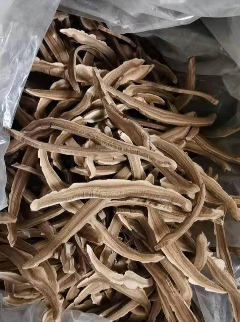 灵芝切片，山东冠县灵芝种植基地