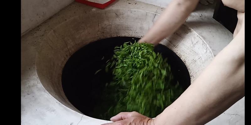 歙县大方茶滴水大方老竹大方黄山毛峰太平猴魁滴水兰香
