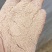 麸皮