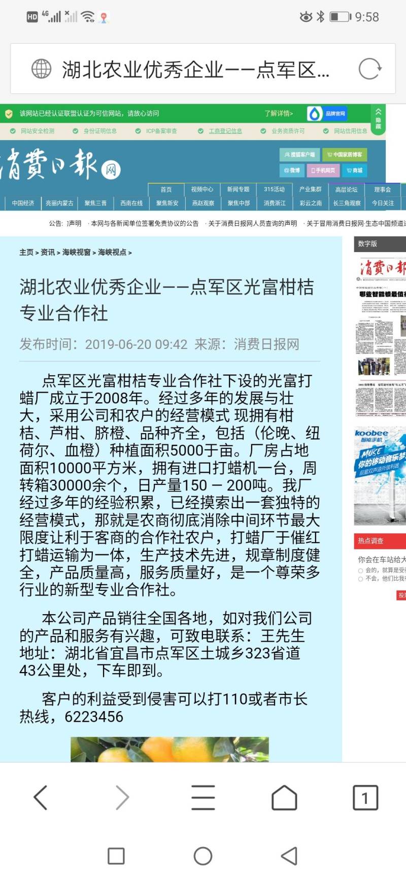 光富柑桔专业合作社，大量出售椪柑，芦柑。