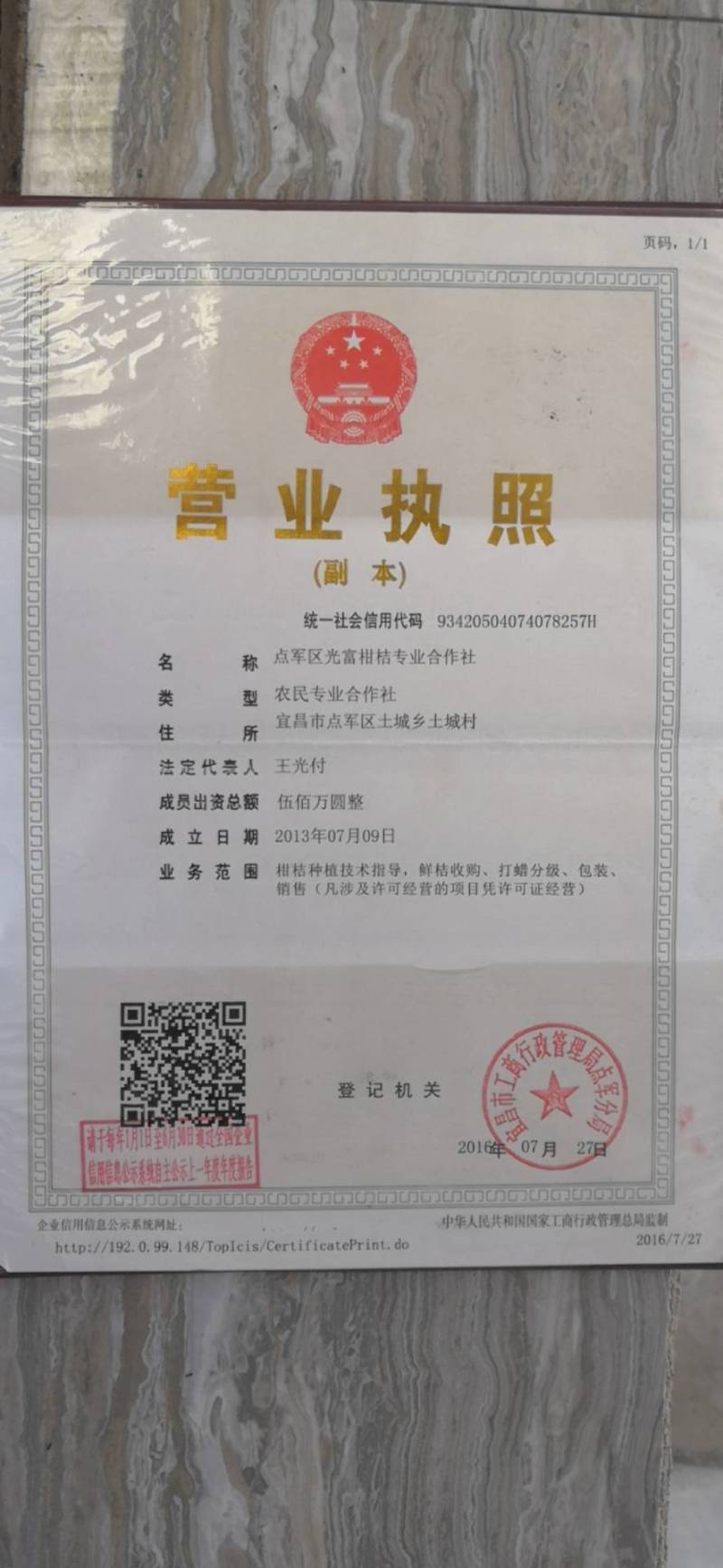 光富柑桔专业合作社，大量出售椪柑，芦柑。