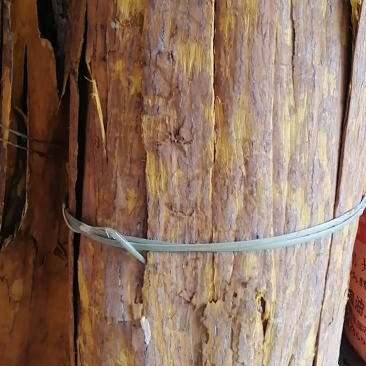 黄皮大量批发需要的联系我
