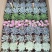 九色混搭多肉随机7—8公分