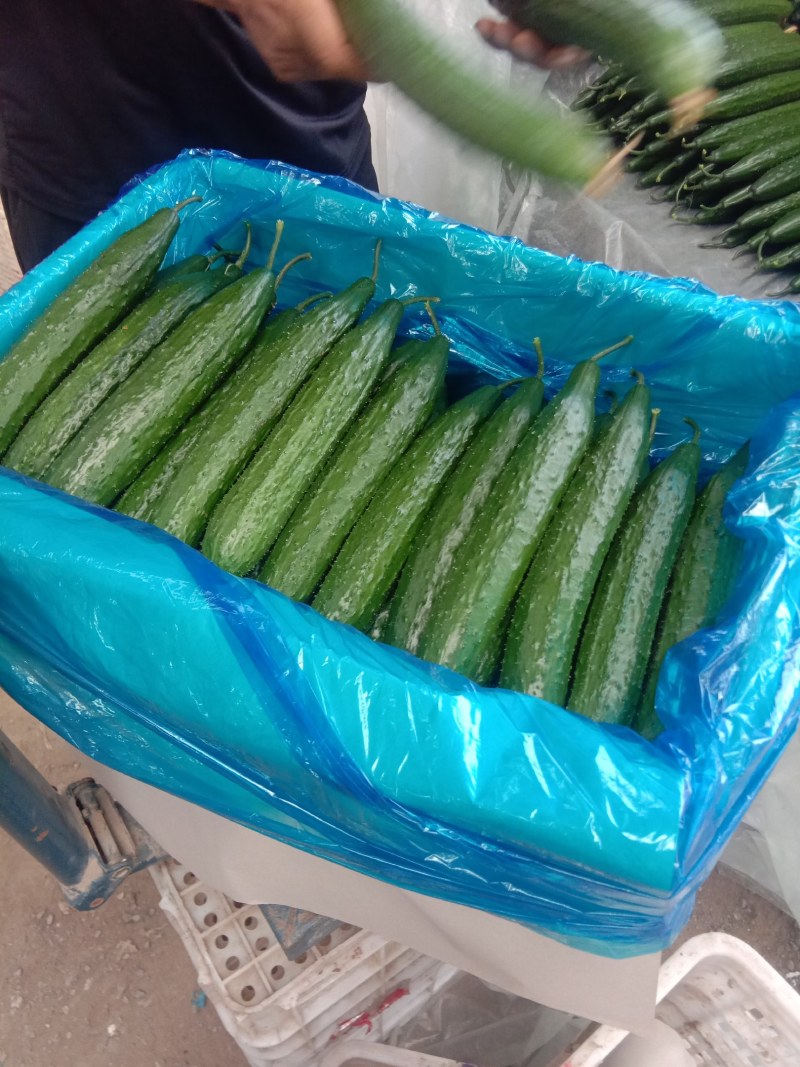 精品黄瓜