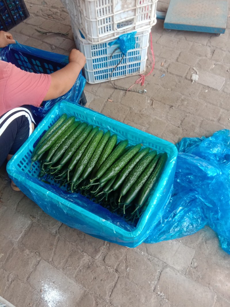 精品黄瓜