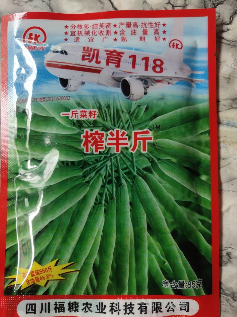 一斤菜籽榨半斤油。。含油量46.8%，全生育期208天