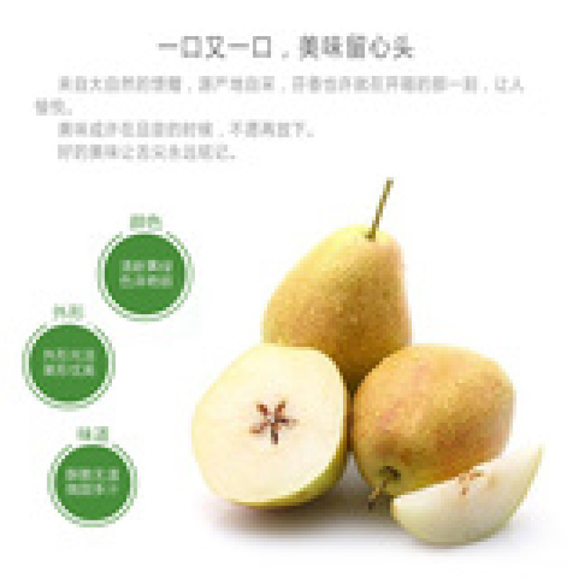 【火爆热销】红香酥梨产地直销一件代发对接商超社区团购