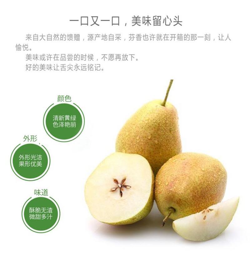 【火爆热销】红香酥梨产地直销一件代发对接商超社区团购