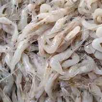 河虾，白虾2-4公分