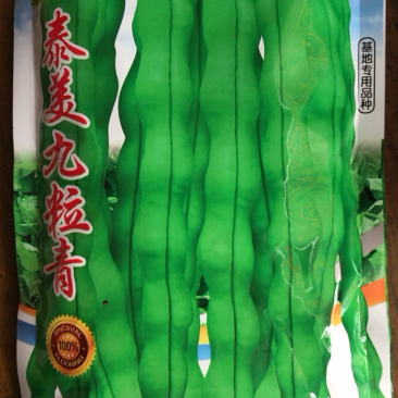 青棒豆种子九粒青