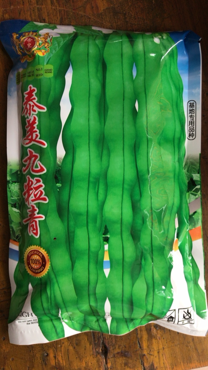 青棒豆种子九粒青